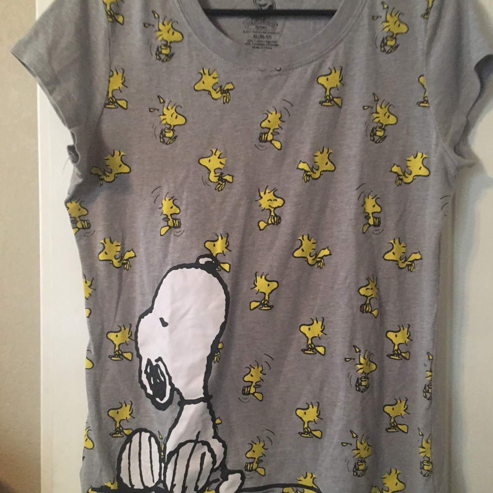 Peanuts Woodstock and Snoopy